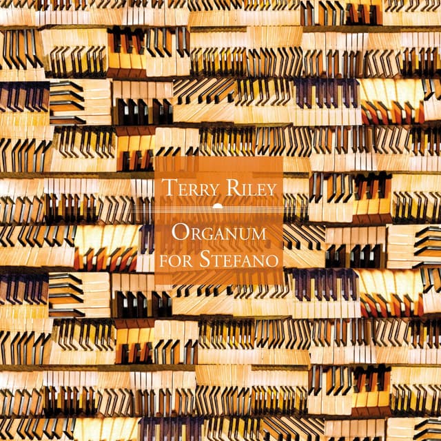 ORGANUM FOR STEFANO cover