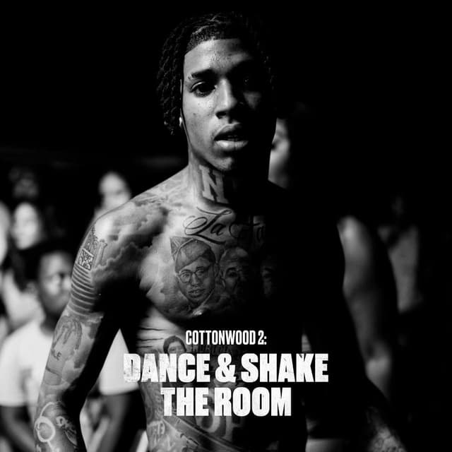 Cottonwood 2: DANCE & SHAKE THE ROOM cover