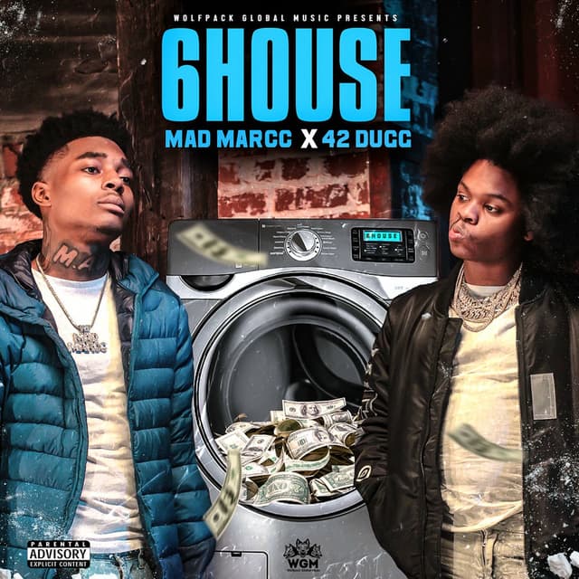 6 House cover