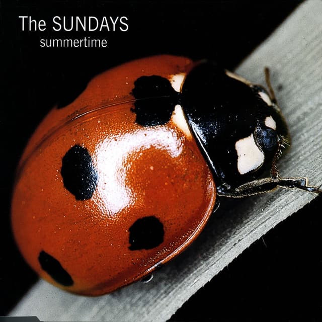 Summertime album cover