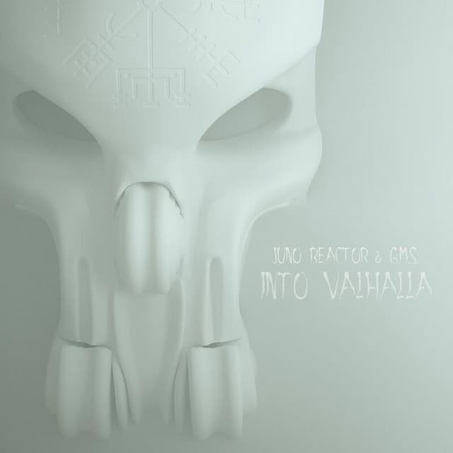 Into Valhalla cover