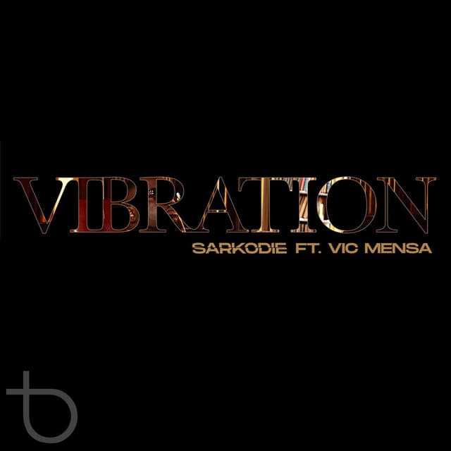 Vibration cover