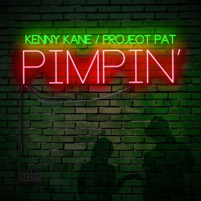 Pimpin cover