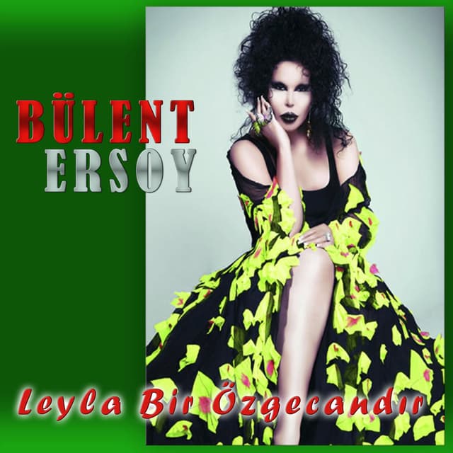 Leyla Bir Özge Candır cover