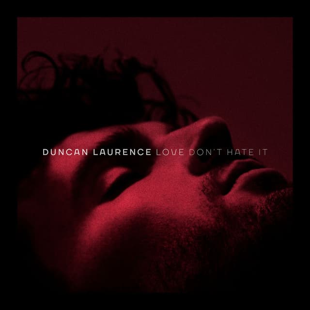 Love Don’t Hate It cover