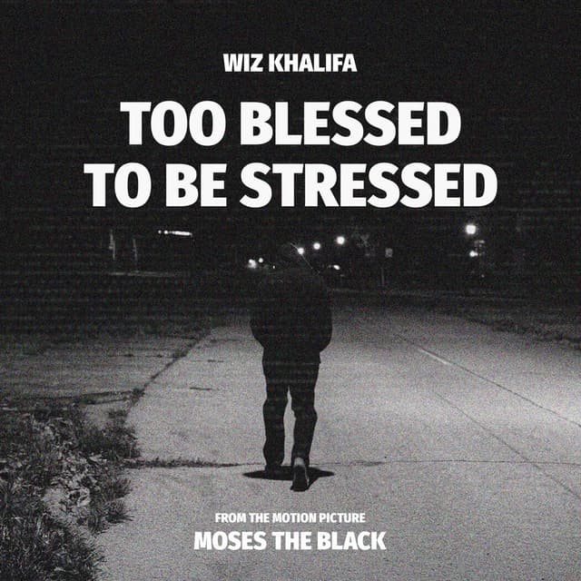 Too Blessed to Be Stressed album cover