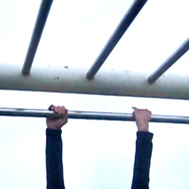 LADDERS cover