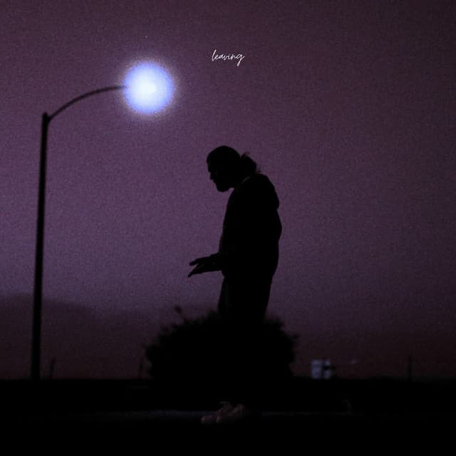 Leaving cover
