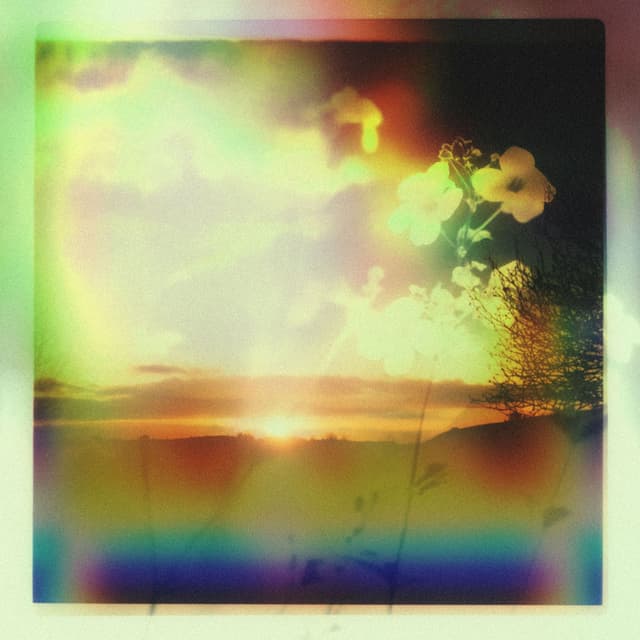 Sage EP cover