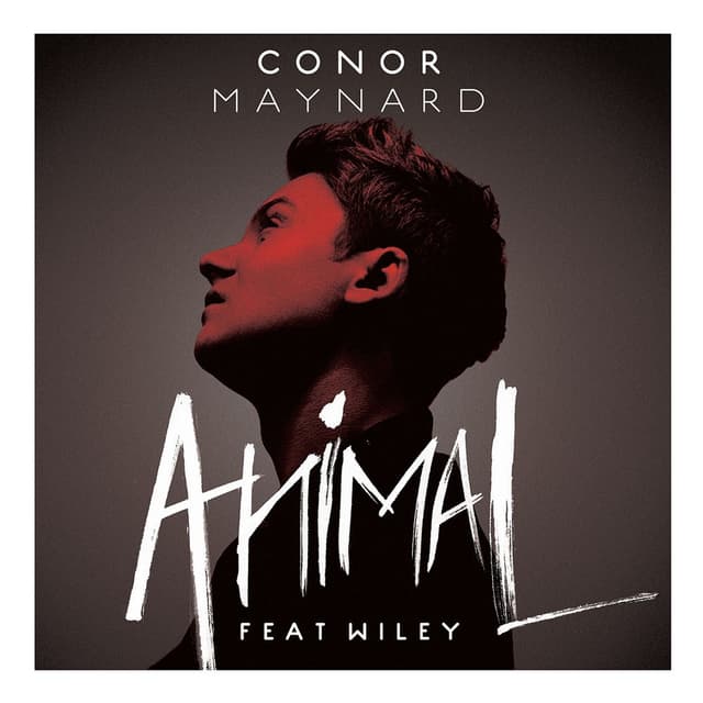 Animal cover