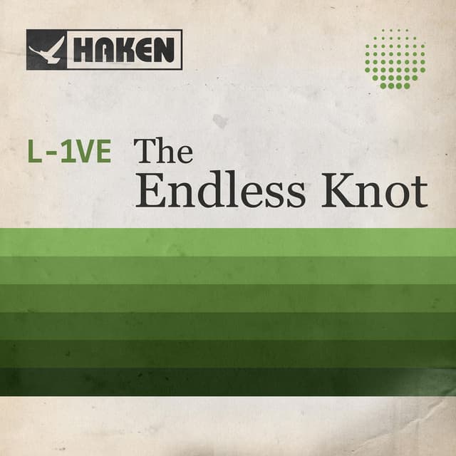 The Endless Knot (Live in Amsterdam 2017) cover