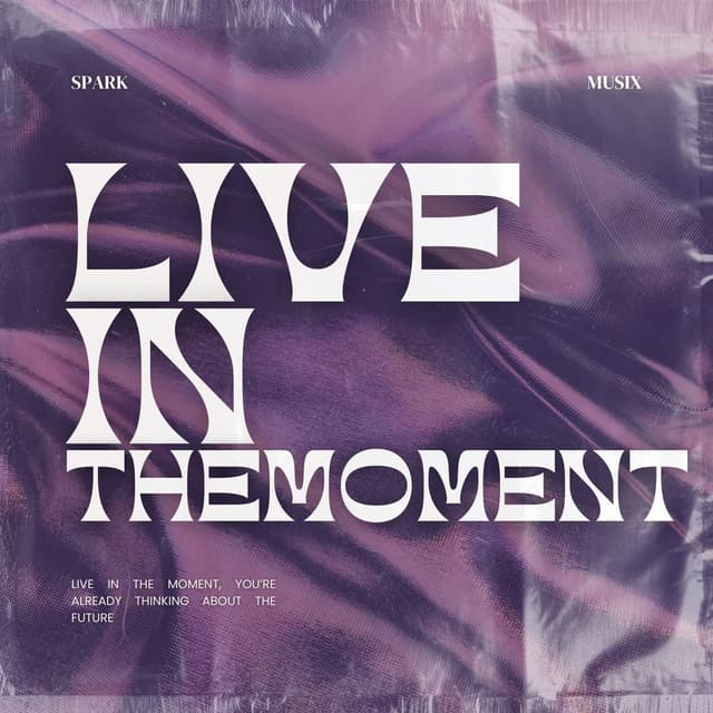 Live In The Moment cover