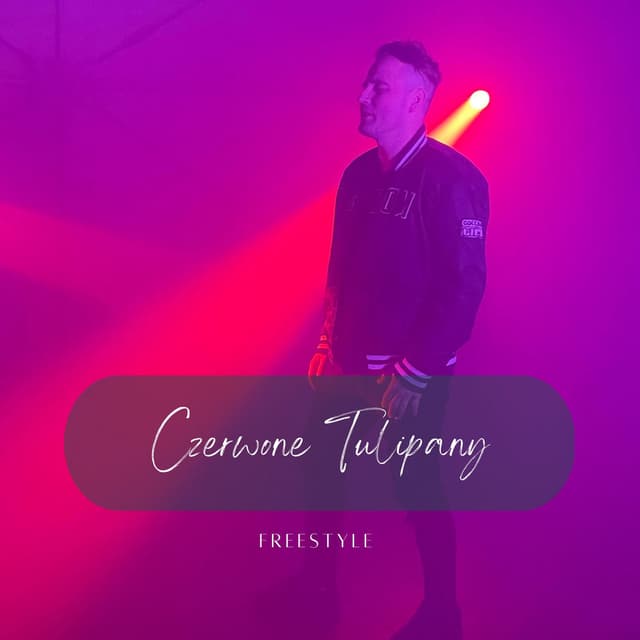 Czerwone Tulipany (Radio Edit) cover