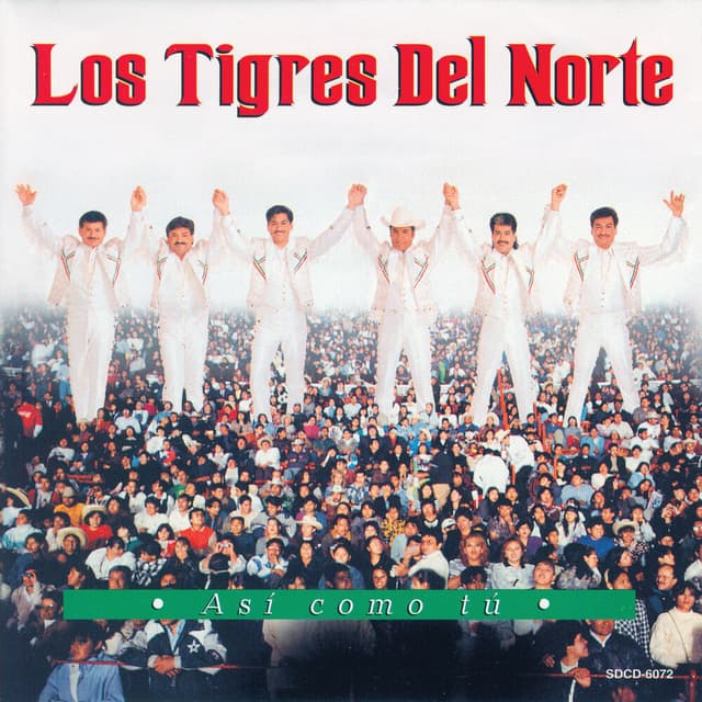 Asi Como Tu cover