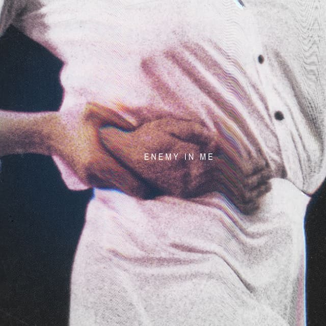 Enemy In Me cover