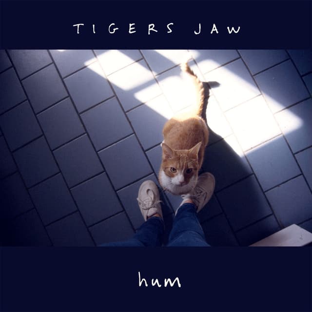 Hum cover