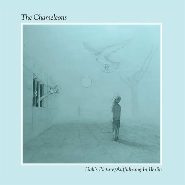 Dali's Picture / Auffuhrung in Berlin cover