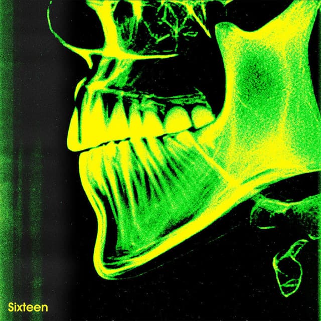 Sixteen cover