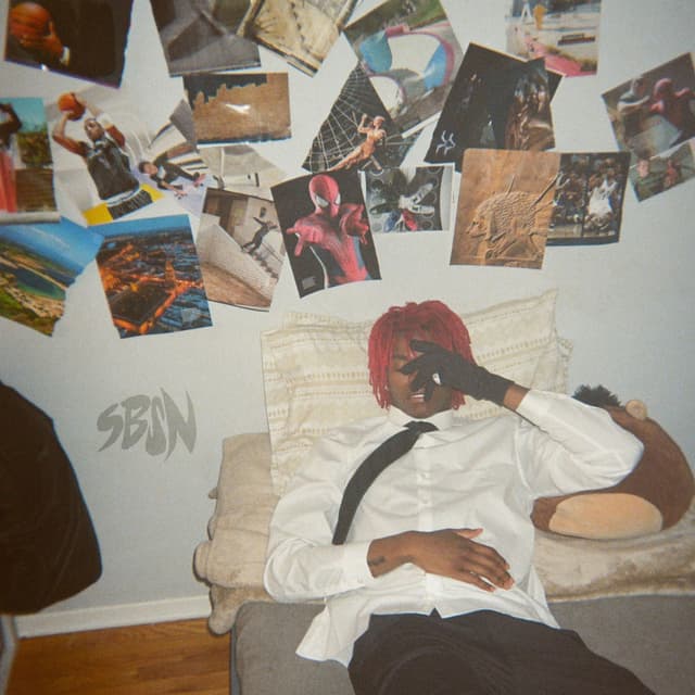 HATE IT OR LOVE IT cover