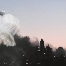 The Disintegration Loops artwork