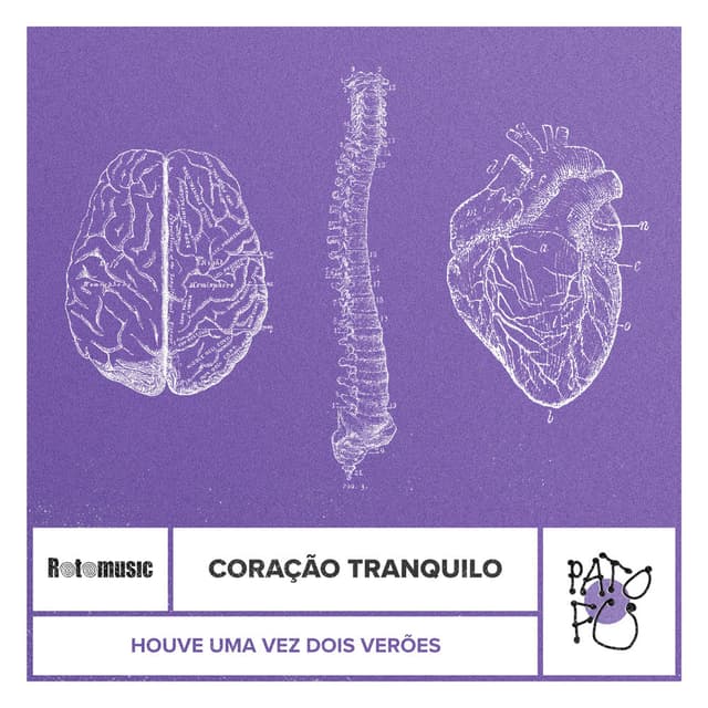 Coração Tranquilo (Houve uma Vez Dois Verões) cover