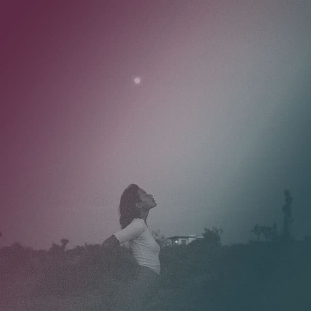 Nightshade cover