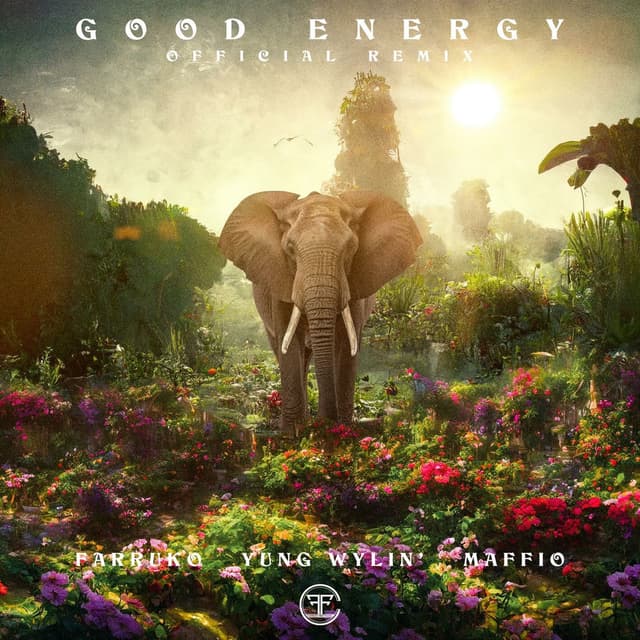 Good Energy (Remix) cover
