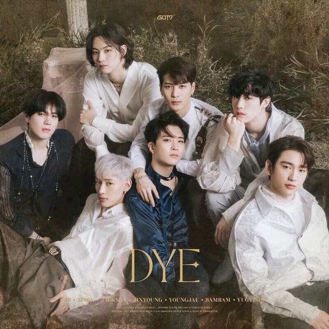 DYE cover