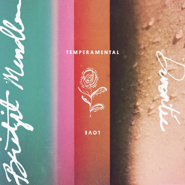 Temperamental Love album cover