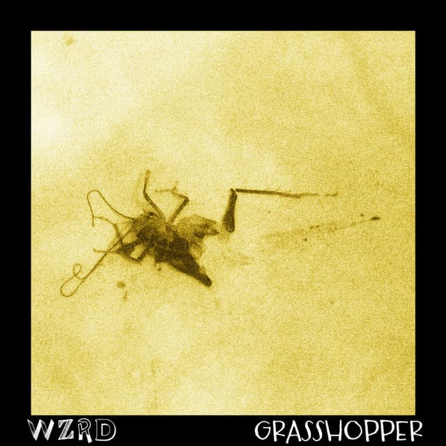 Grasshopper cover