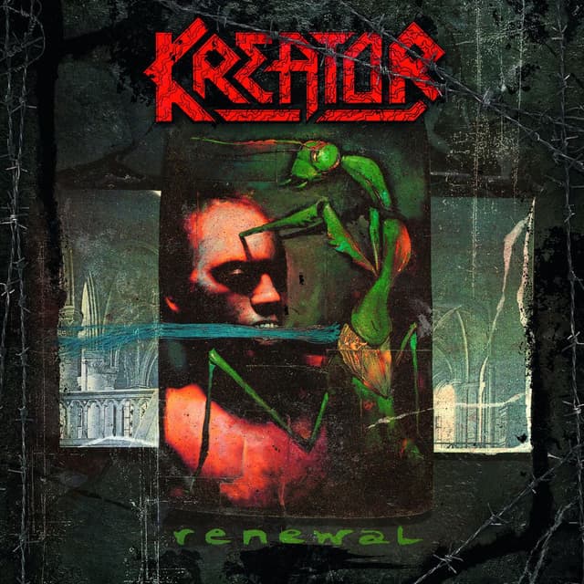 Renewal cover