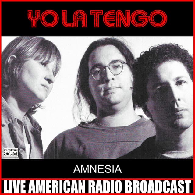 Amnesia (L) cover