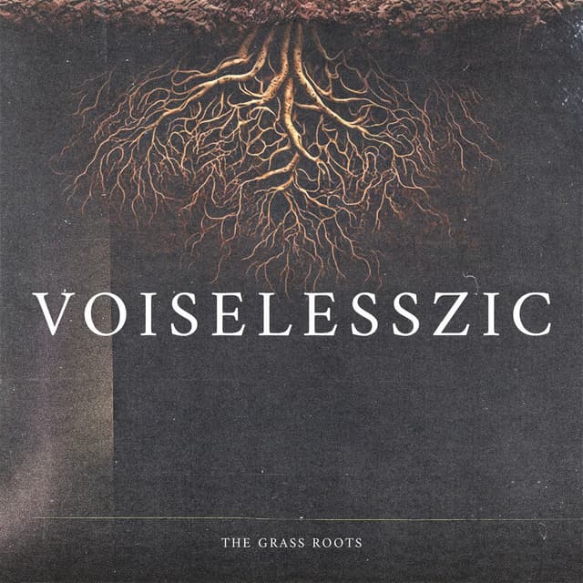 VOISELESSZIC cover