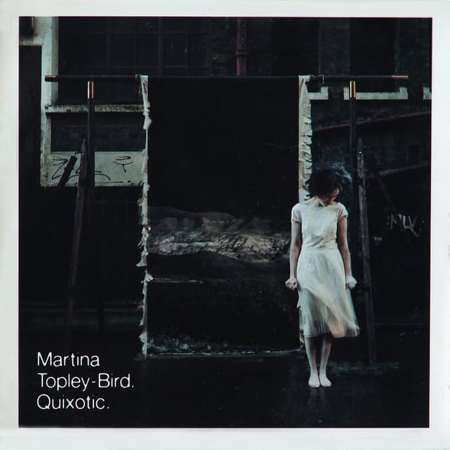 Quixotic cover