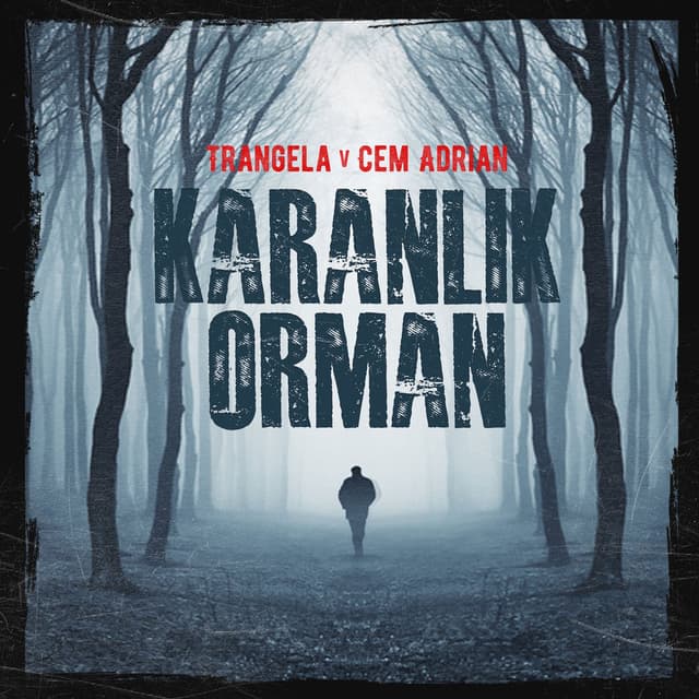 Karanlık Orman cover