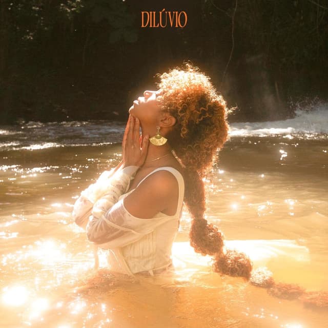 Dilúvio cover