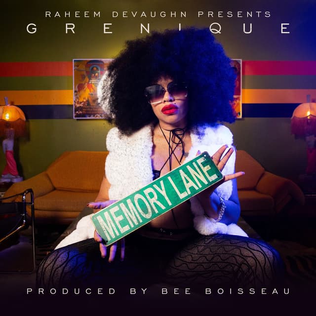 The Memory Lane Single Pack cover