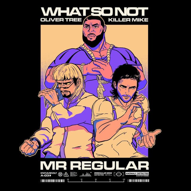 Mr Regular cover