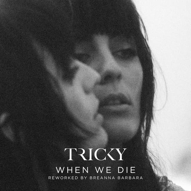 When We Die (Reworked by Breanna Barbara) cover