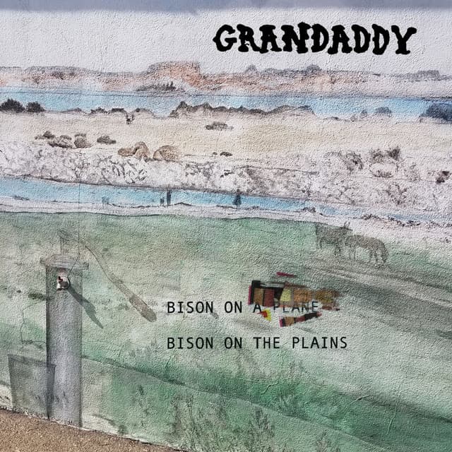 Bison on the Plains cover