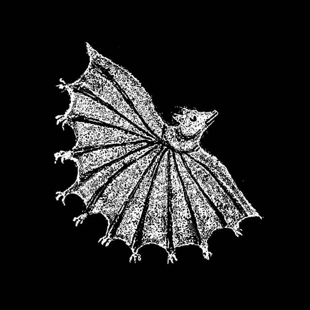 Ignore Grief cover