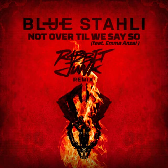 Not Over Til We Say So (Rabbit Junk Remix) cover