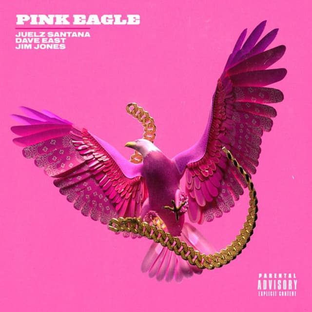 Pink Eagle (feat. Dave East, Jim Jones) cover