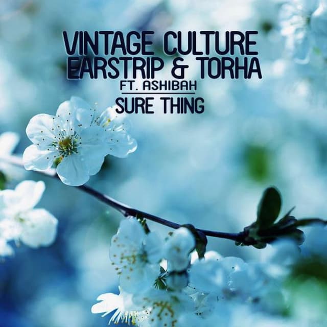 Sure Thing cover