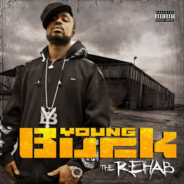 The Rehab (Special Edition) cover