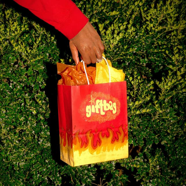 giftbag cover