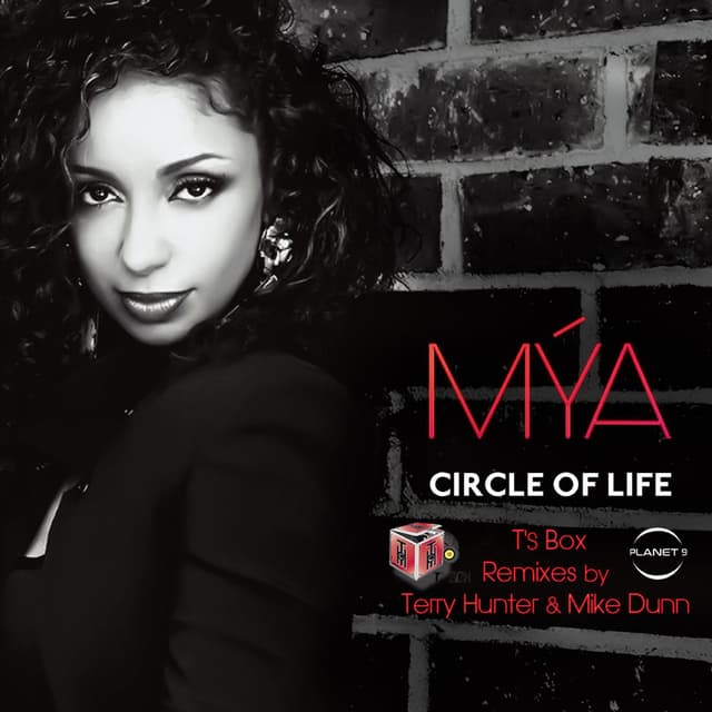 Circle Of Life cover