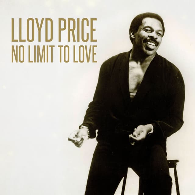 No Limit to Love cover