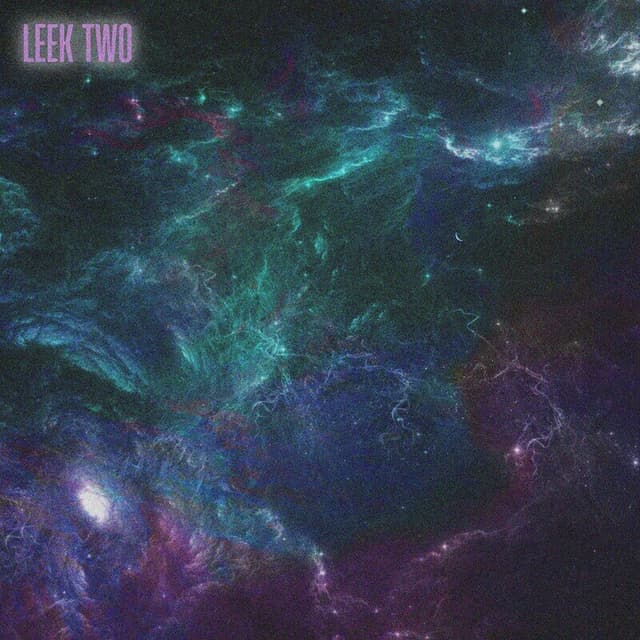 The Leek Two! cover