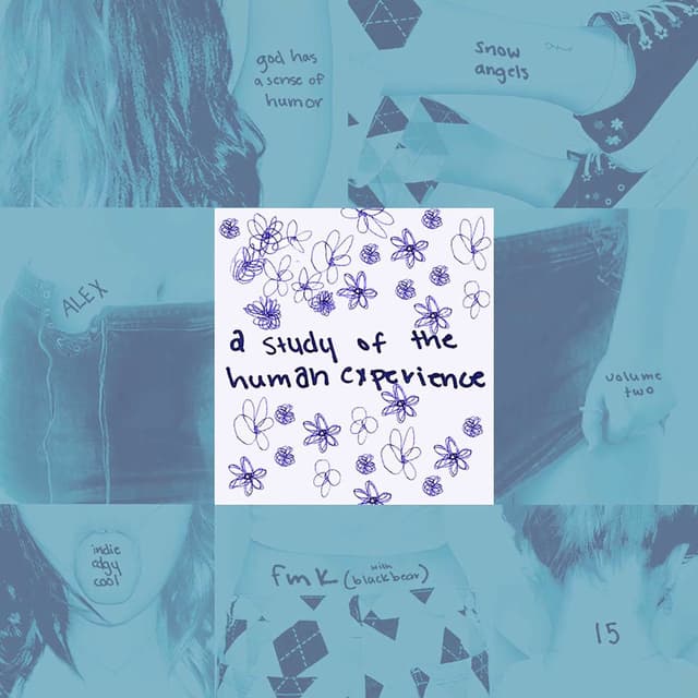 a study of the human experience, volume two cover